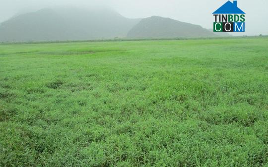 Hình ảnh Đông Tiến, Thanh Hóa