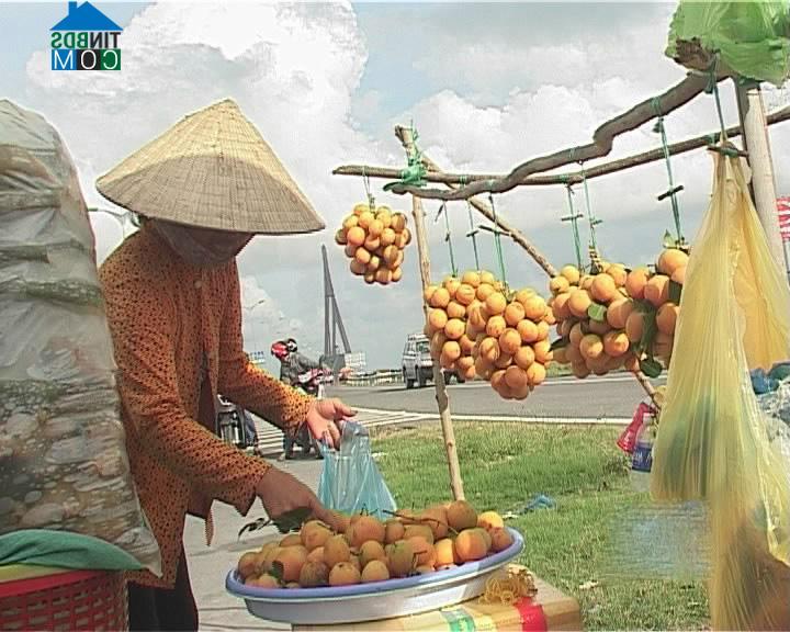 Hình ảnh Đông Thành, Vĩnh Long