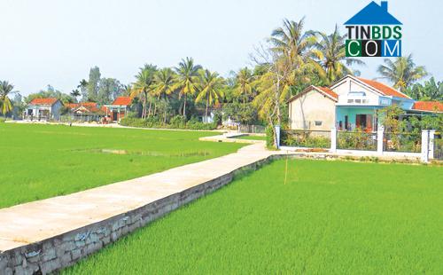 Hình ảnh Phú Yên, Đắk Lắk