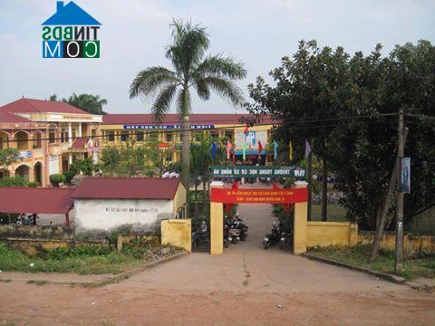 Hình ảnh Yên Lãng, Hà Nội