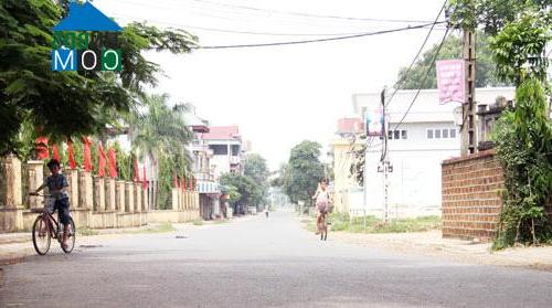 Hình ảnh Hạ Bằng, Hà Nội