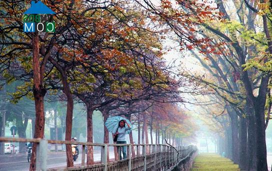 Hình ảnh Ngọc Hà, Hà Nội