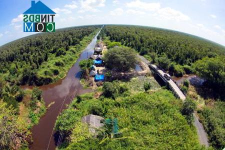 Hình ảnh U Minh, Cà Mau