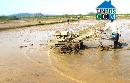 Hình ảnh Gia Vân, Ninh Bình