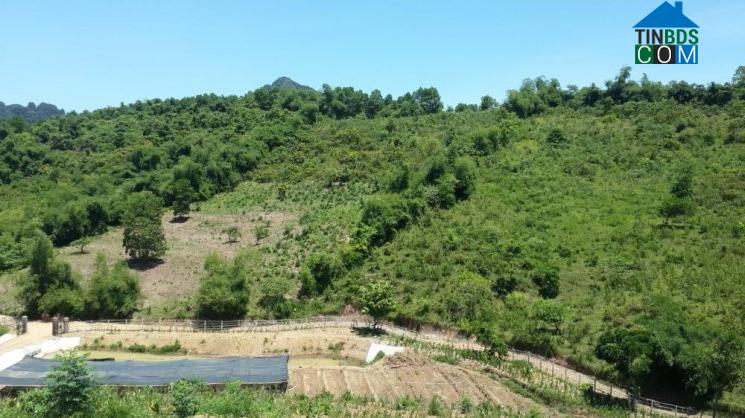 Hình ảnh Lương Sơn, Phú Thọ