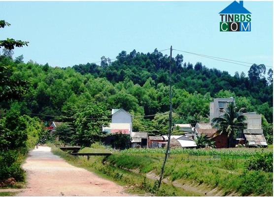 Hình ảnh Vạn Tường, Quảng Ngãi