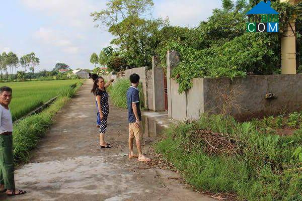 Hình ảnh Hưng Hà, Hưng Yên