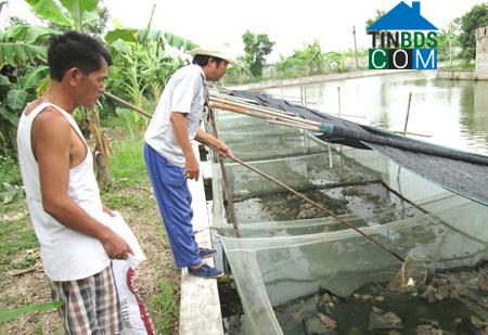 Hình ảnh Đông Hưng, Hưng Yên