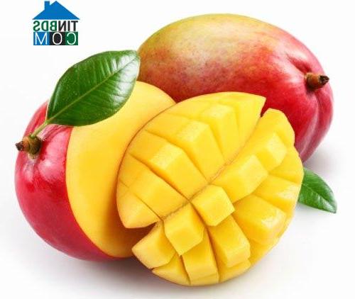 Hình ảnh Cam Hiệp, Khánh Hòa