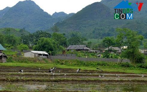 Hình ảnh Tân Phong, Lai Châu