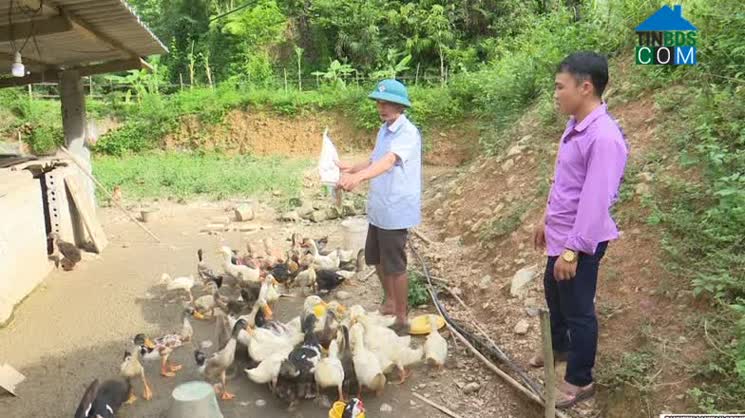 Hình ảnh Tân Uyên, Lai Châu