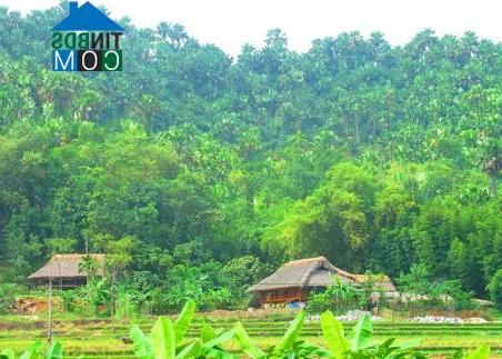 Hình ảnh Lâm Thượng, Lào Cai