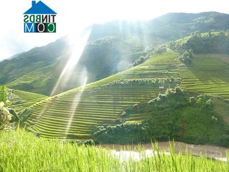Hình ảnh Mù Cang Chải, Lào Cai