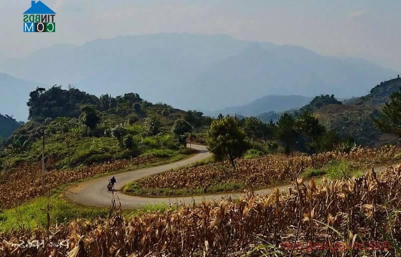 Hình ảnh Văn Chấn, Lào Cai