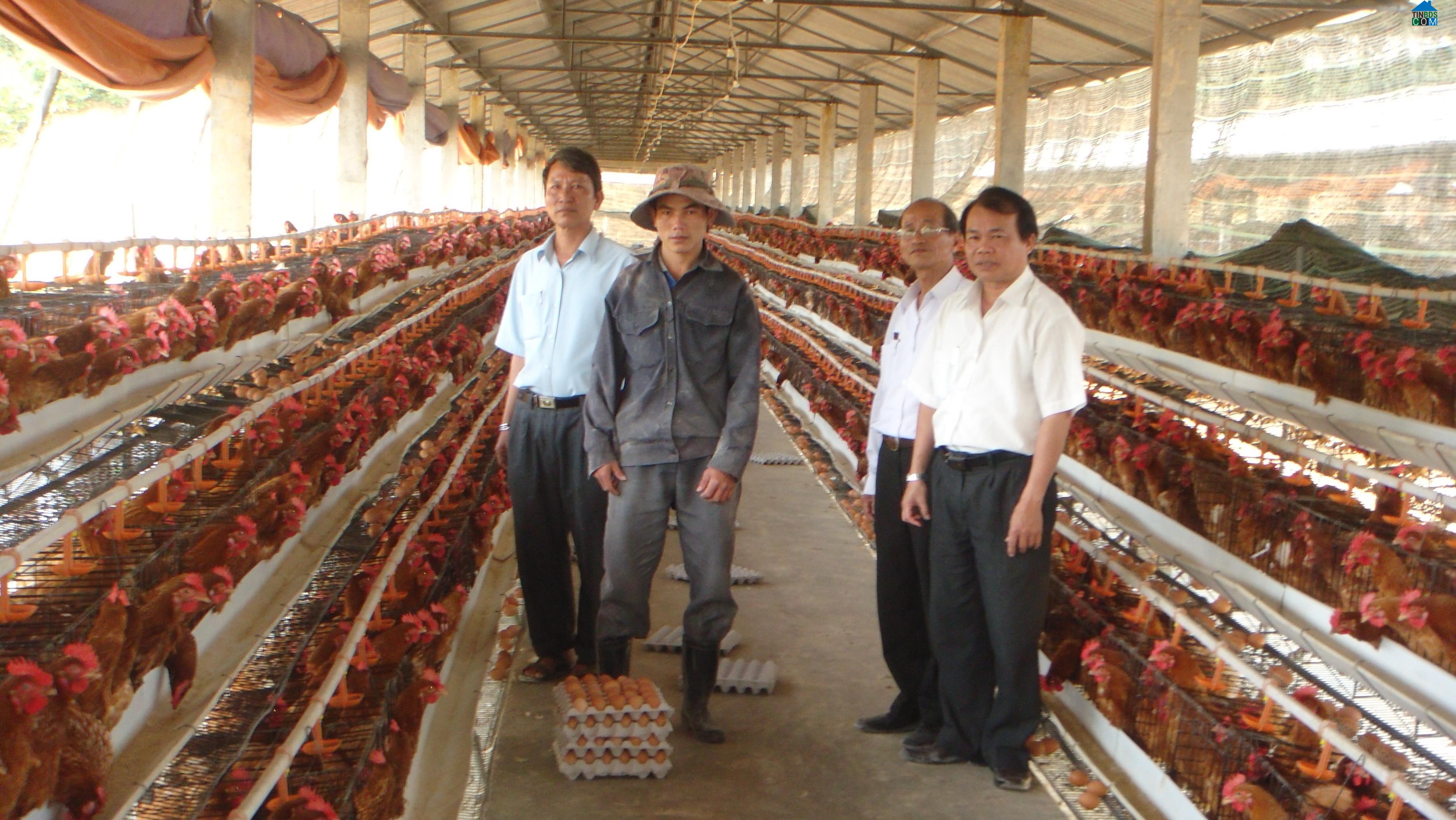 Hình ảnh Bình Sơn, Quảng Ngãi