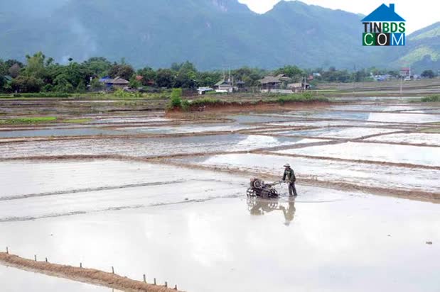 Hình ảnh Phù Yên, Sơn La