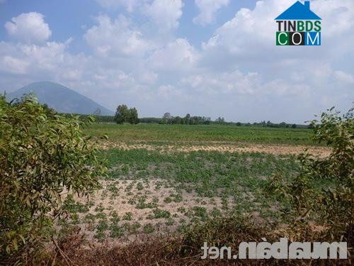 Hình ảnh Bình Minh, Tây Ninh