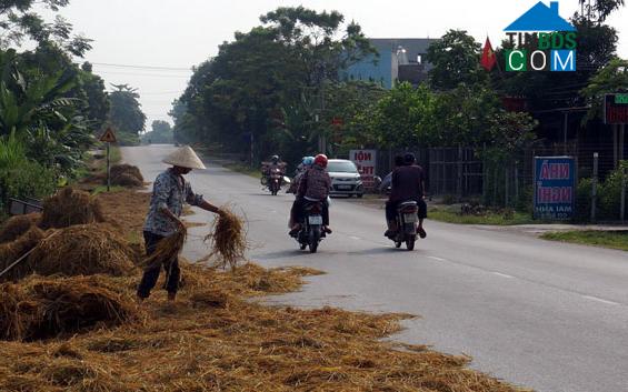 Hình ảnh Phú Bình, Thái Nguyên
