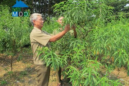 Hình ảnh Tích Lương, Thái Nguyên