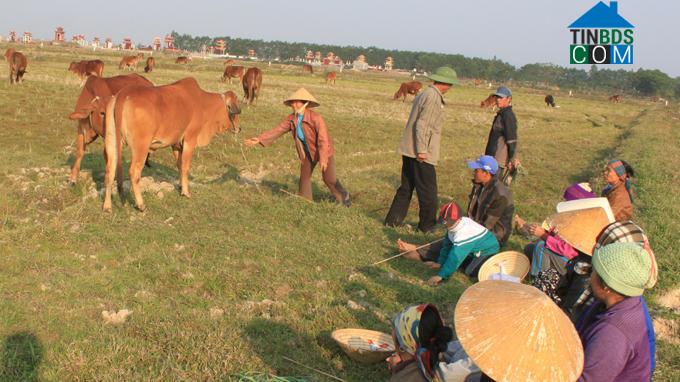 Hình ảnh Đông Tiến, Thanh Hóa