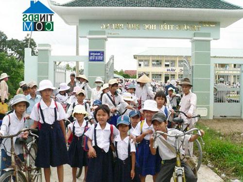 Hình ảnh Phú Phụng, Vĩnh Long