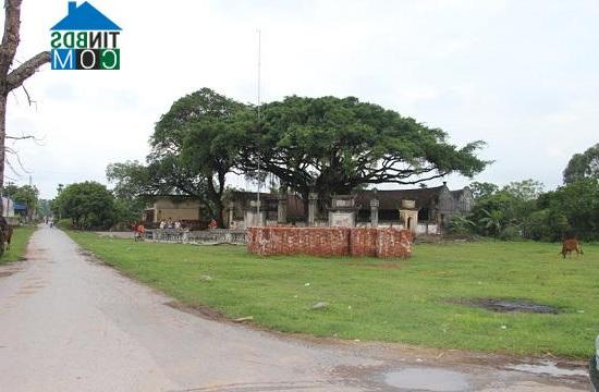 Hình ảnh Thường Tín, Hà Nội