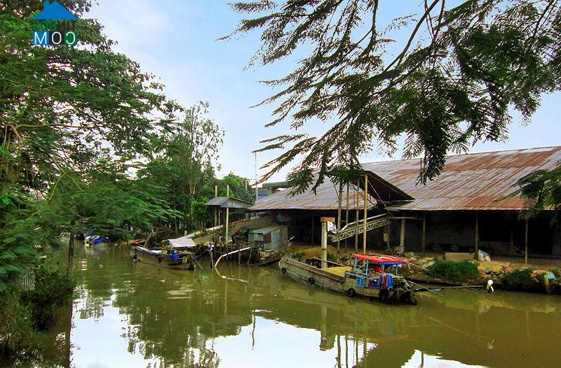 Hình ảnh Long Xuyên, An Giang