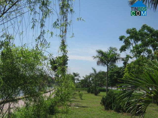 Hình ảnh Hoa Lư, Ninh Bình