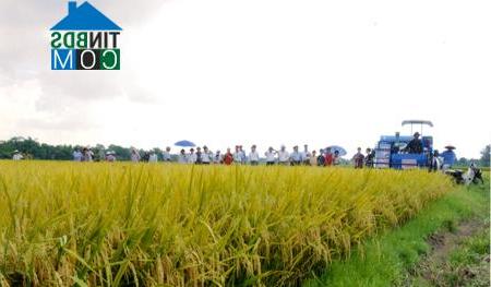 Hình ảnh Đại Đồng, Hưng Yên