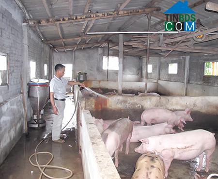 Hình ảnh Đông Hưng, Hưng Yên