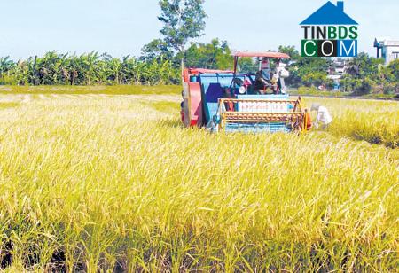 Hình ảnh Vũ Phúc, Hưng Yên