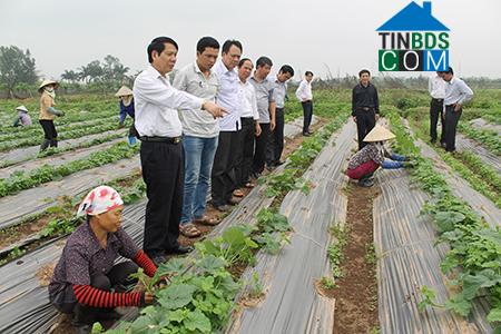 Hình ảnh Thái Bình, Hưng Yên