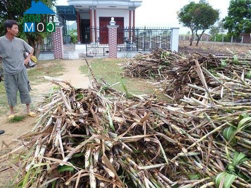 Hình ảnh Ninh Hòa, Khánh Hòa