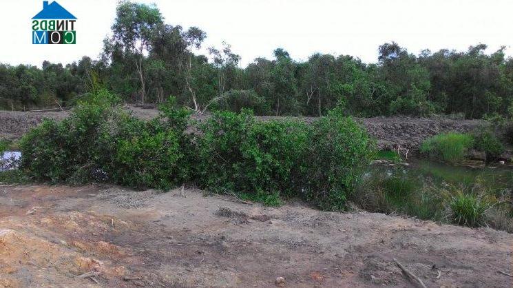 Hình ảnh Long An, Tây Ninh