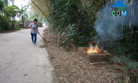 Hình ảnh Phú Bình, Thái Nguyên