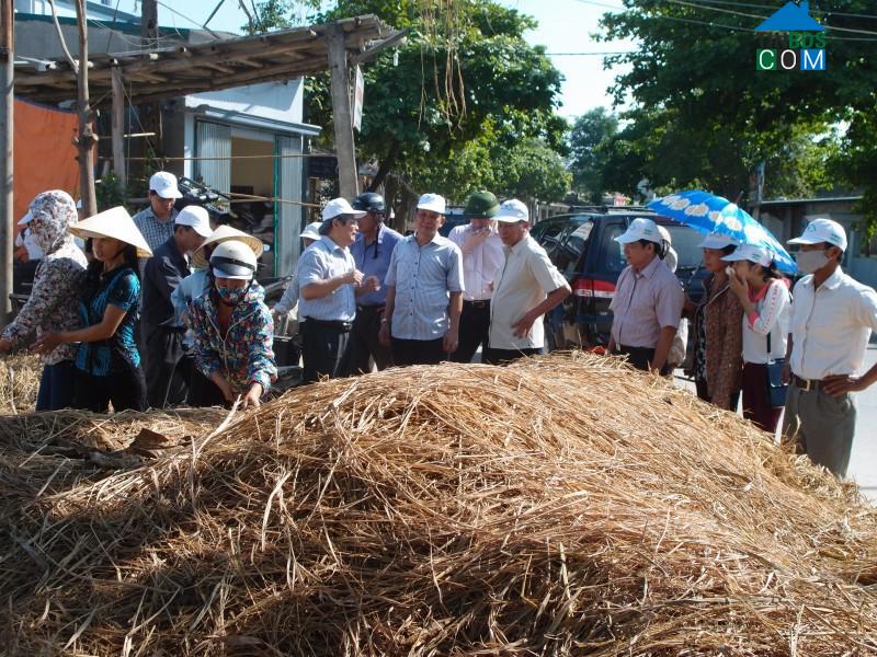Hình ảnh Đông Tiến, Thanh Hóa