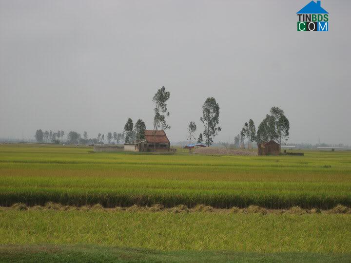 Hình ảnh Hoằng Lộc, Thanh Hóa
