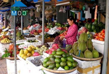 Hình ảnh Tân Thành, Cà Mau