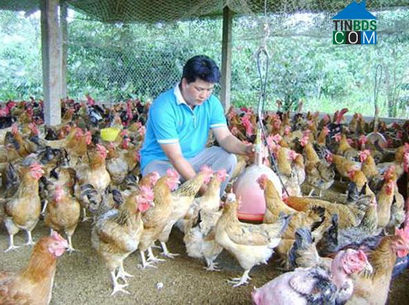 Hình ảnh Ea Kar, Đắk Lắk