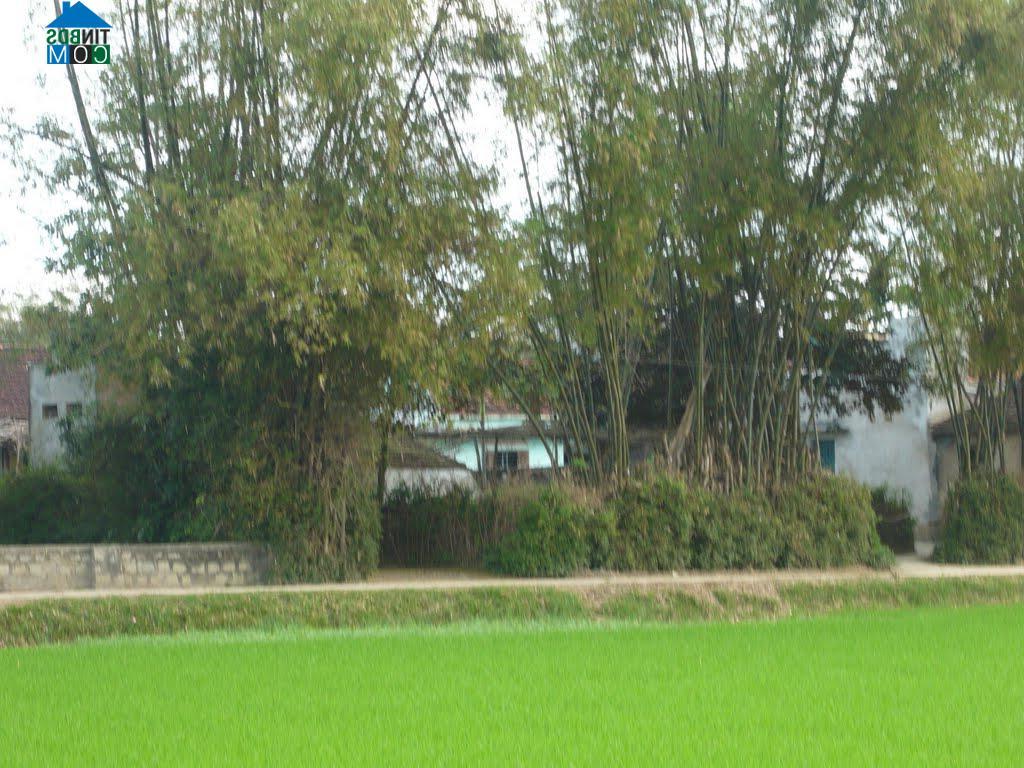 Hình ảnh Tuy Phước Bắc, Gia Lai