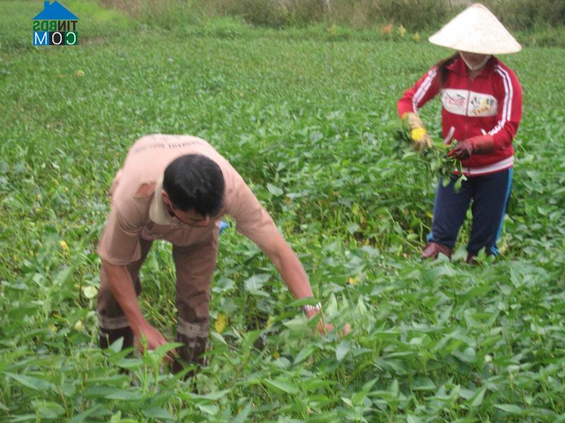 Hình ảnh Kon Tum, Quảng Ngãi