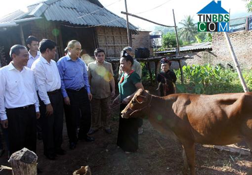 Hình ảnh Yên Châu, Sơn La