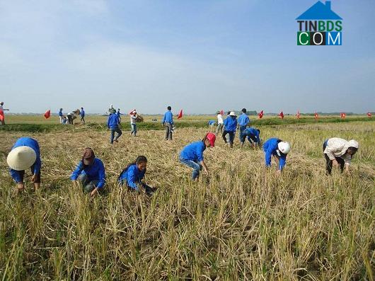 Hình ảnh Đông Tiến, Thanh Hóa