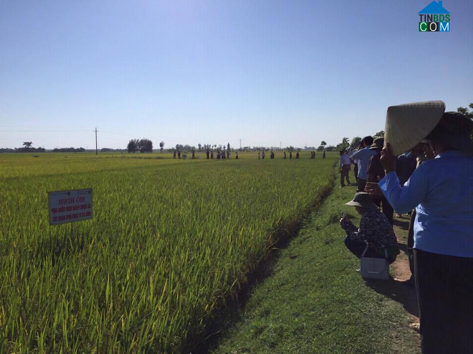 Hình ảnh Vạn Lộc, Thanh Hóa