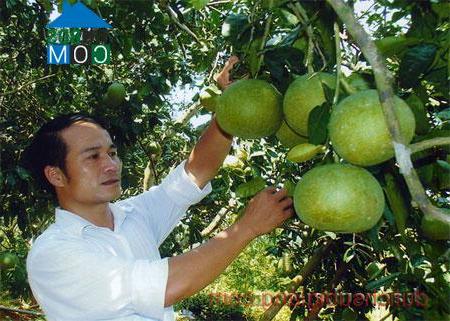 Hình ảnh Thác Bà, Lào Cai