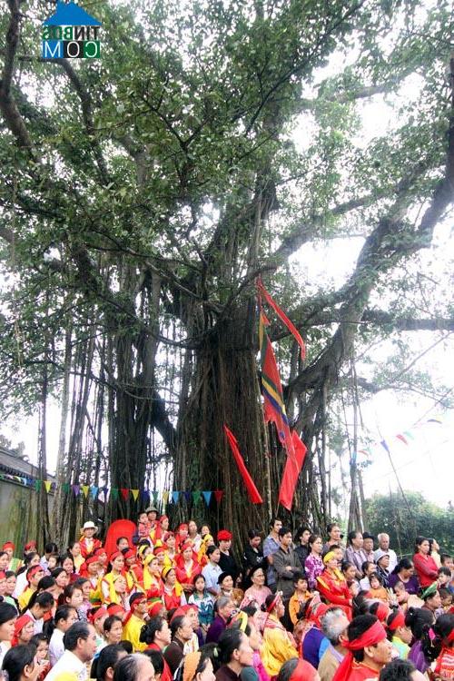 Hình ảnh Phố Hiến, Hưng Yên