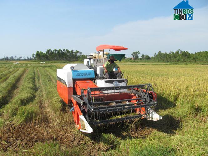 Hình ảnh Đồng Hới, Quảng Trị