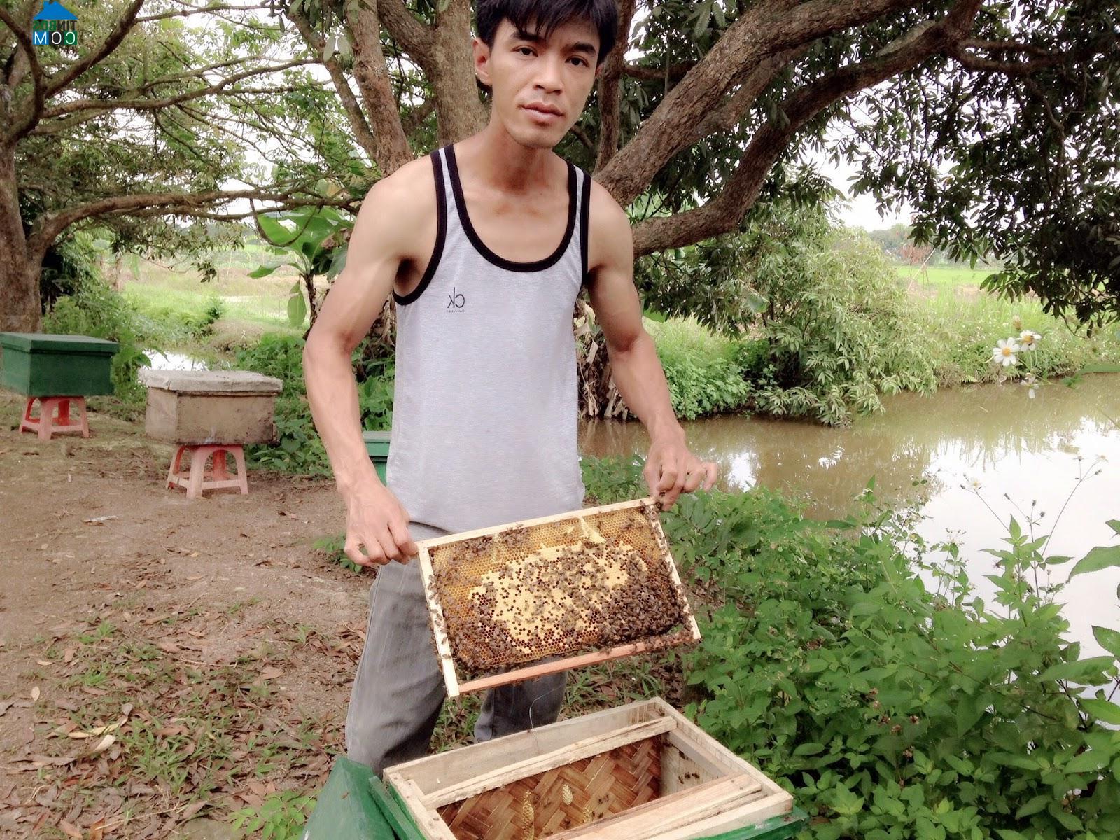 Hình ảnh Phố Hiến, Hưng Yên