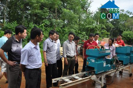 Hình ảnh Đông Sơn, Thanh Hóa