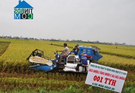 Hình ảnh Phố Hiến, Hưng Yên